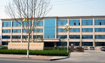 Shandong Xingya New Materials Limited Company